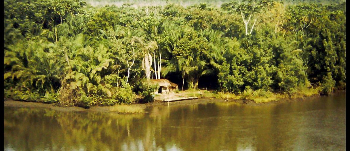 Nigerdelta image