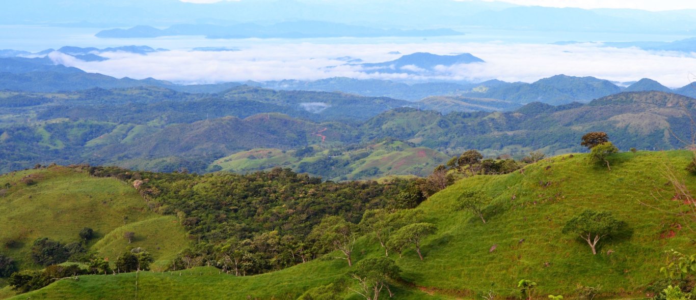 Monteverde image
