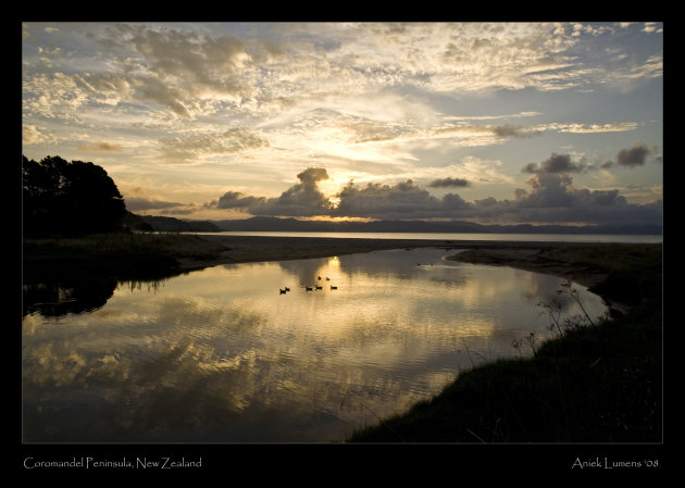 Coromandel 1