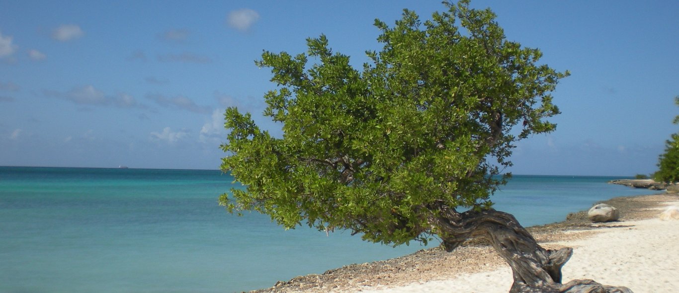 Aruba image