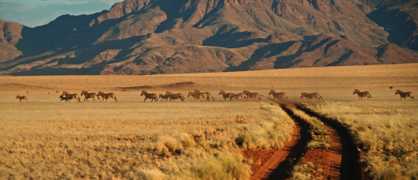 Zuid Namibie image