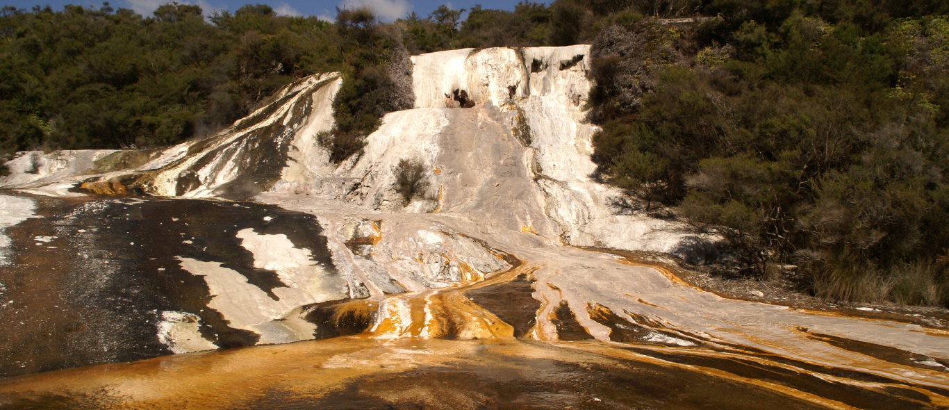 Rotorua image