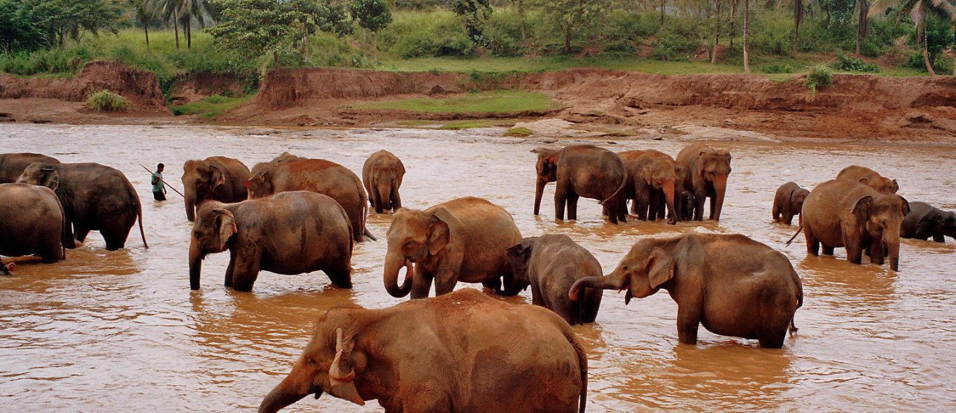 West Sri Lanka image