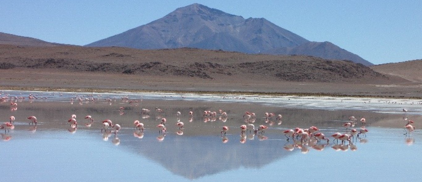 Bolivia image