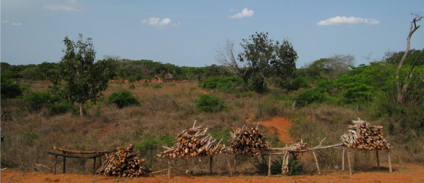 Mozambique image