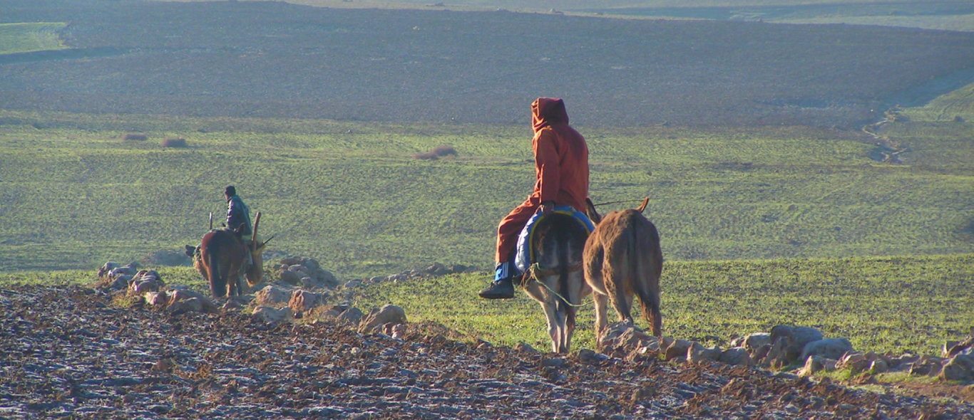 Atlas gebergte image