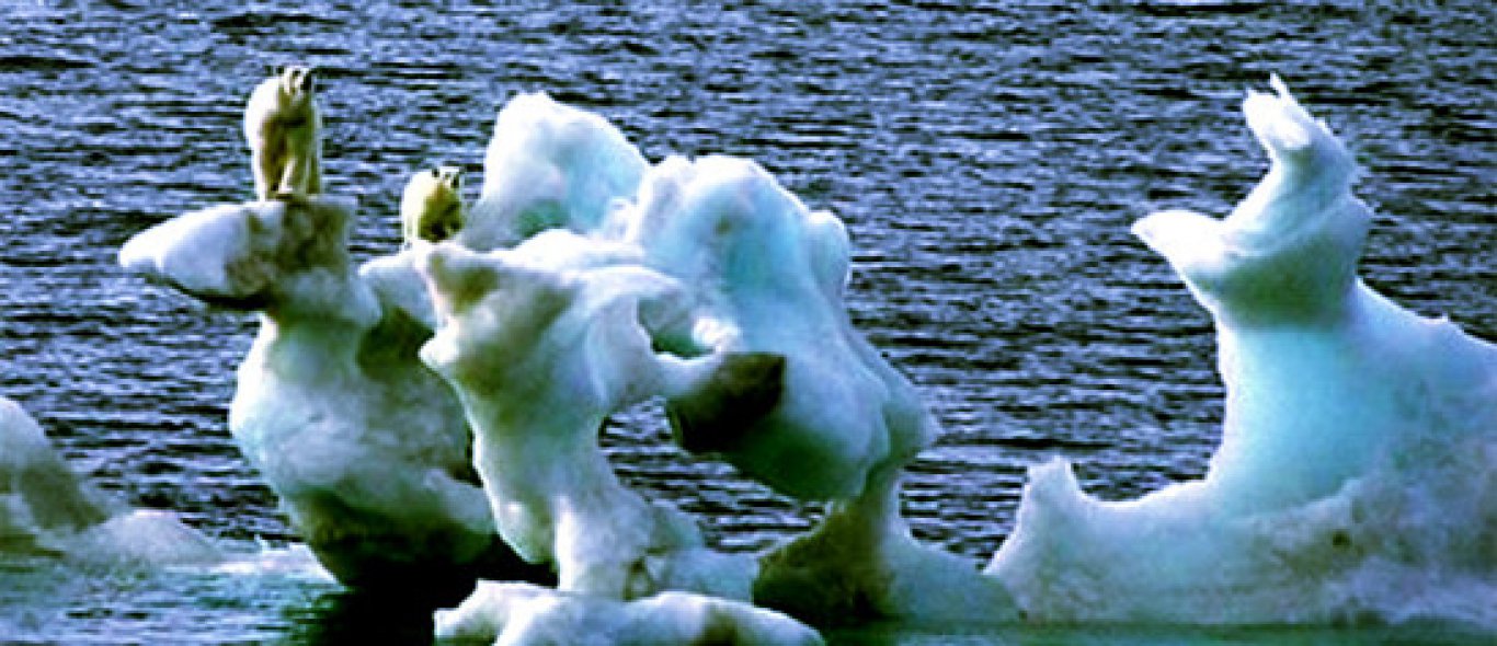 Noordpool in 2012 per boot bereikbaar image