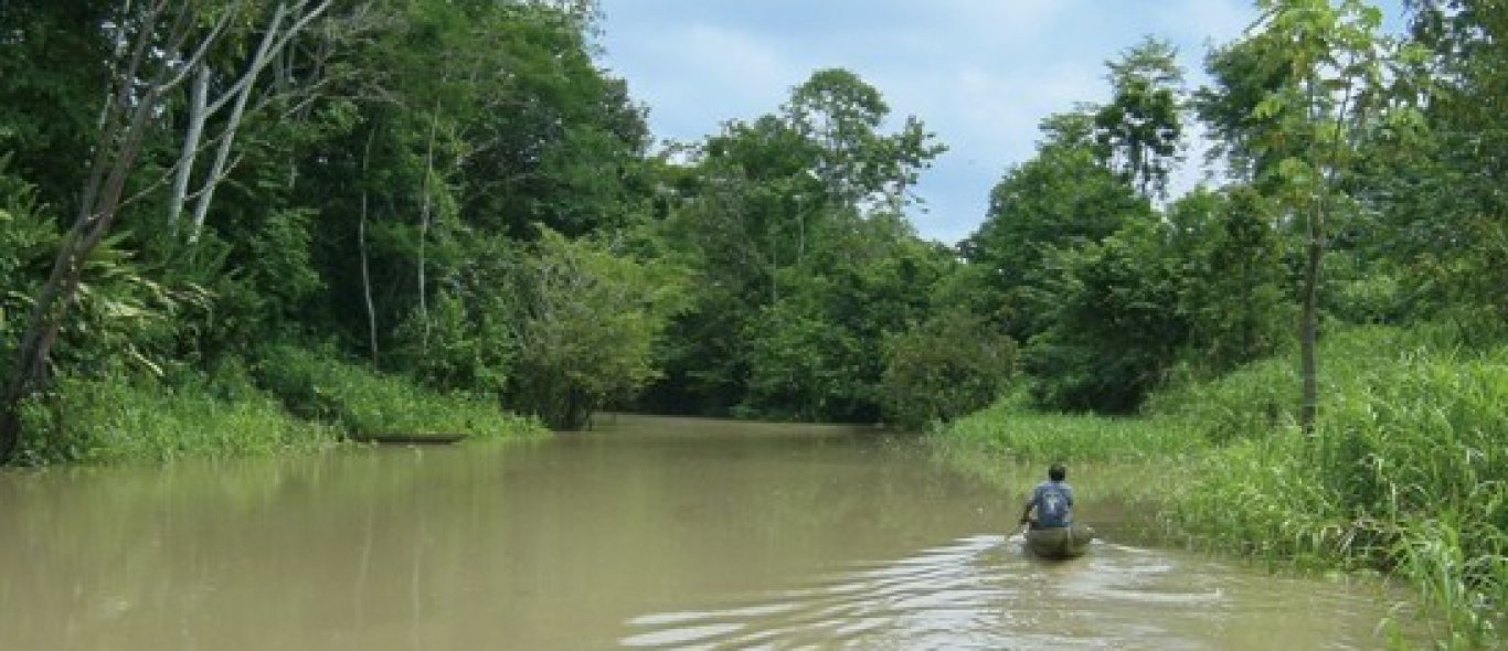 Stadresten gevonden in Amazone image
