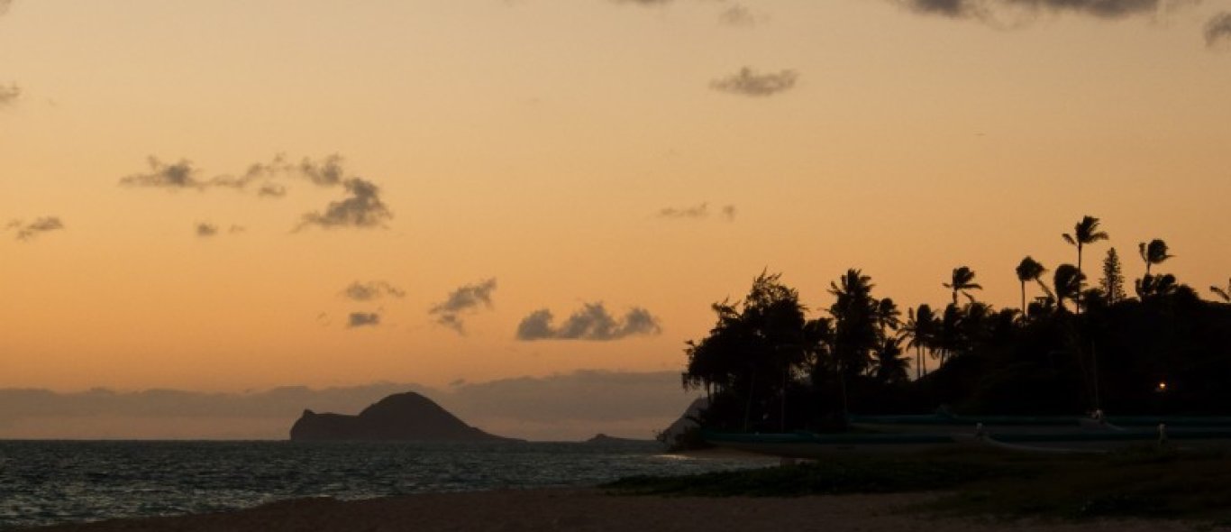 Stranden van Hawai verdwijnen image