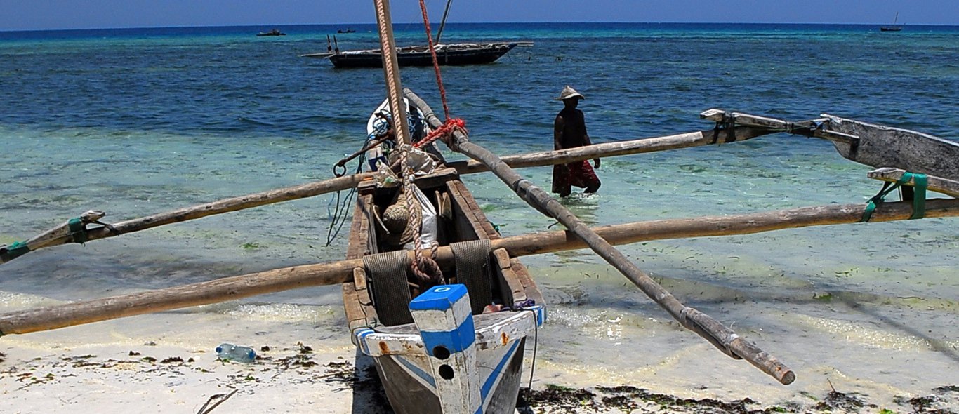 Zanzibar al maanden in donker image