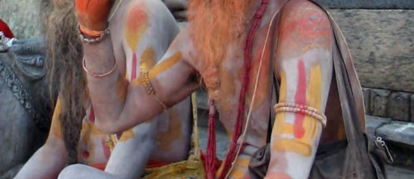 Sadhu's en swami's onder vuur image