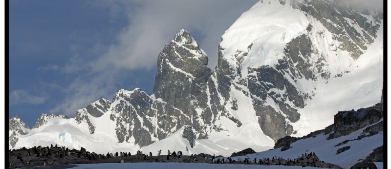 Antarctica cruises stoppen? image