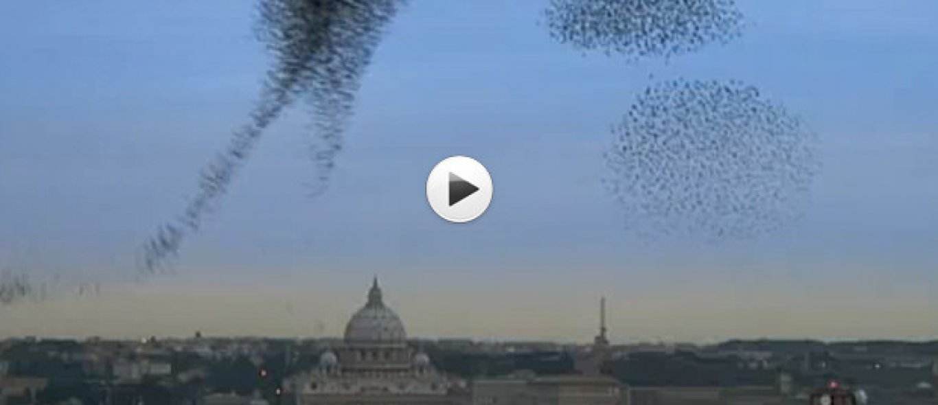 VIDEO: Miljoenen spreeuwen dansen image