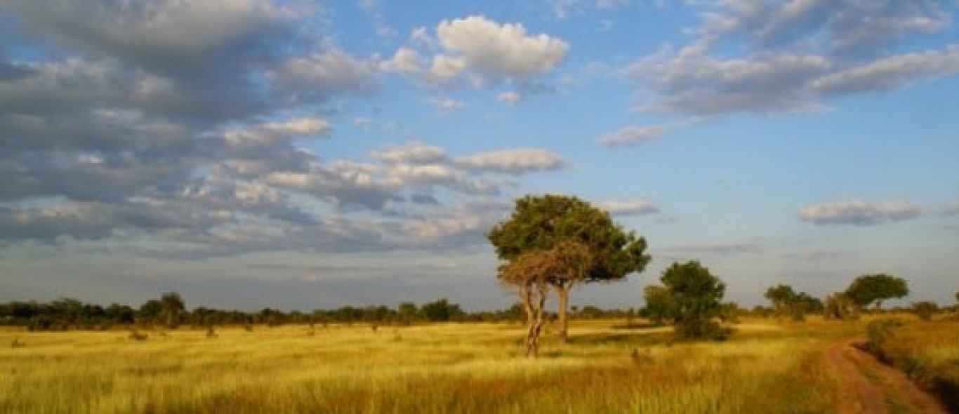 Selouspark in Tanzania bedreigd image