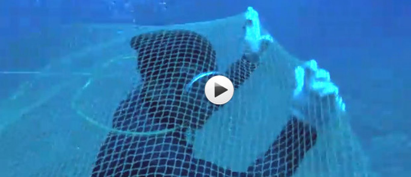 VIDEO: Levensgevaarlijk vissen image