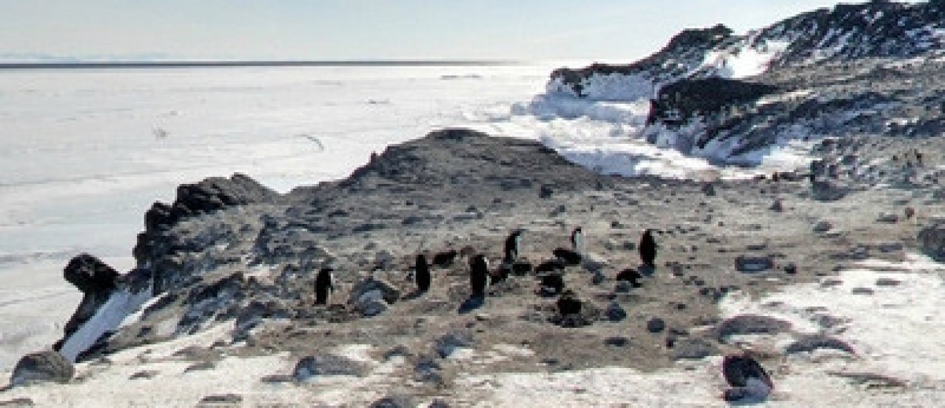 Google zet Street View-beelden Antarctica online image