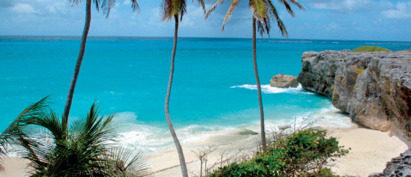 Caribbean - Zo vind je het perfecte eiland image