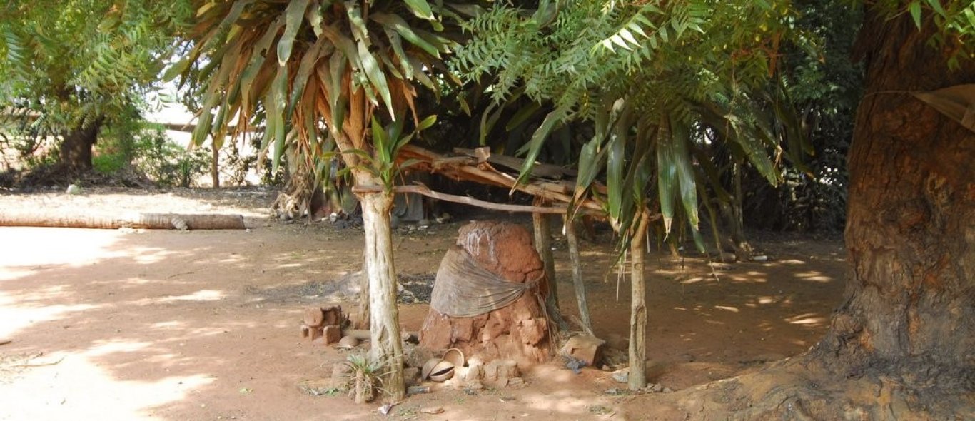 Centraal Benin image