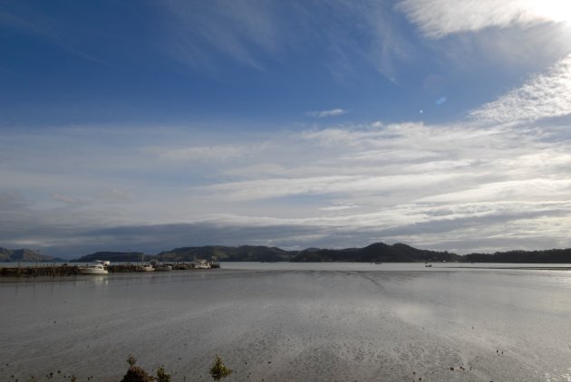 Coromandel Harbour