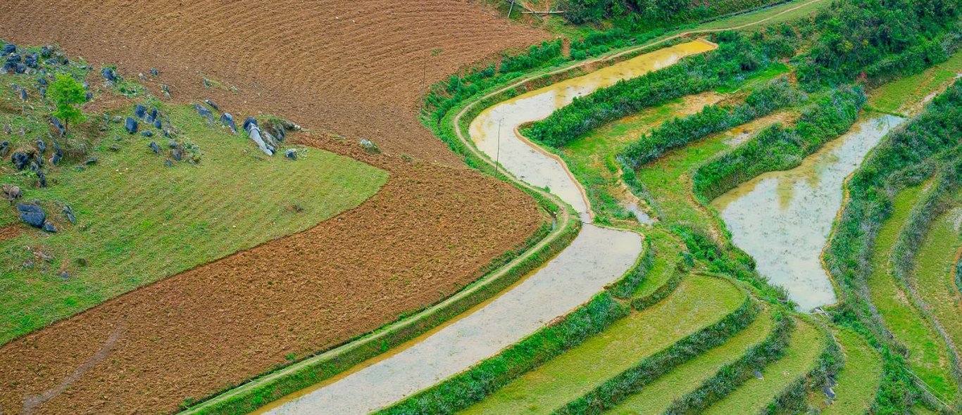 Winnaar 'Reisfoto 2014' terug uit Noord-Vietnam image