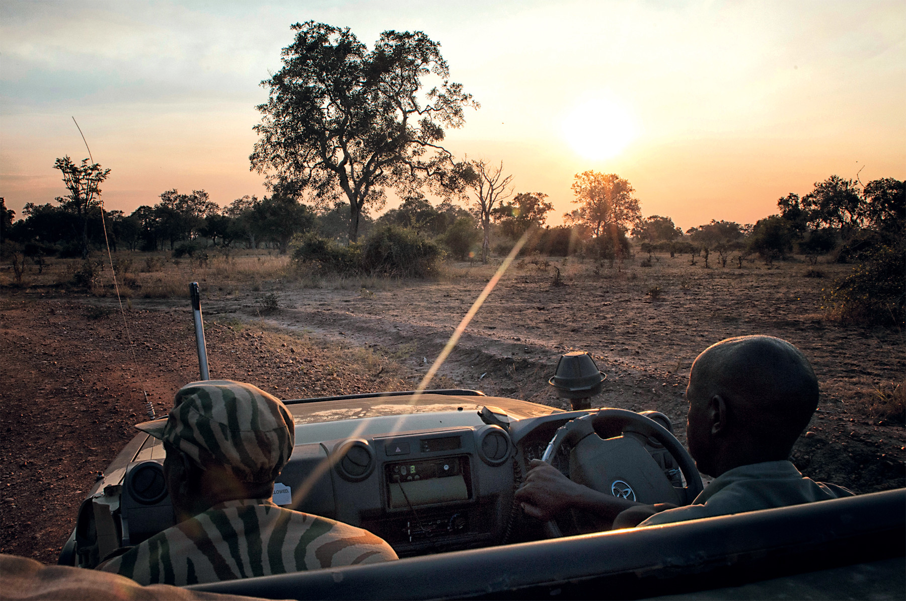 Op safarit in nationaal park South Luangwa in Zambia. Foto: Michael Dehaspe