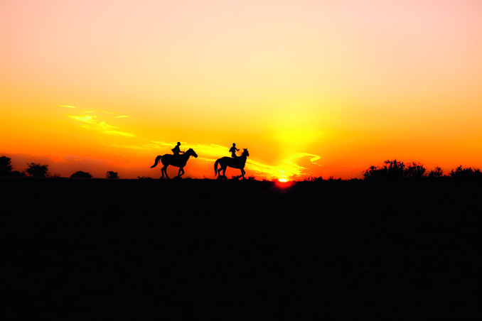 In Botswana zijn veel inheemse Bosjesmannen gedwongen als cowboy de kost te verdienen. Foto: Louise ten Have