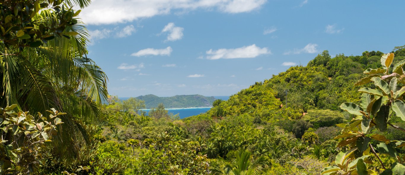 De Seychellen, méér dan een strandbestemming image