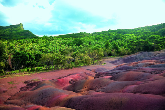 De zandduinen van Chamarel grenzen aan de jungle van Nationaal Park Grande Rivière Noire. Foto: Jeroen van Amelsvoort.