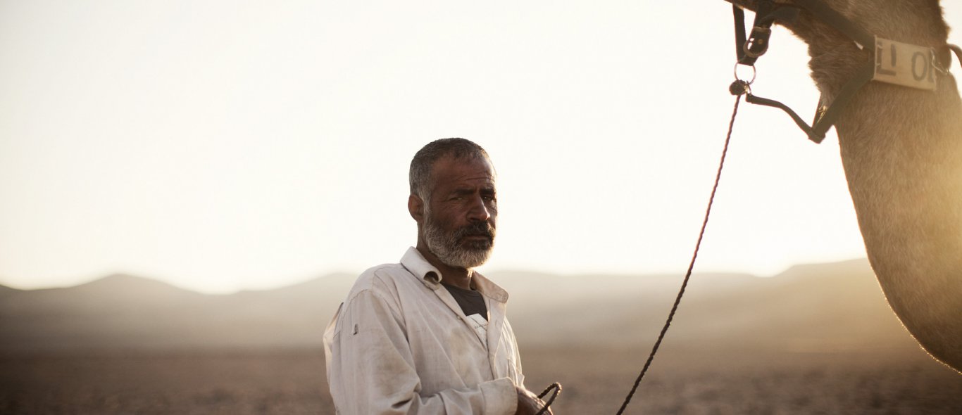 Op bezoek bij de nomaden van Israël image