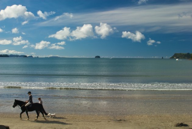 Whitianga and Horse