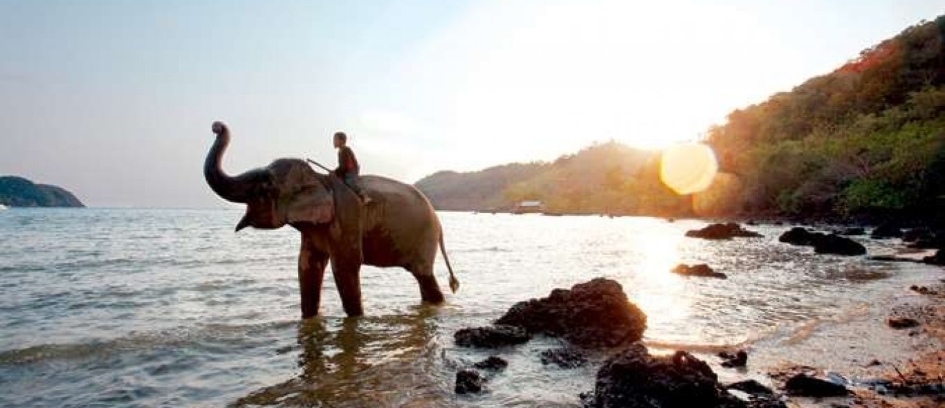 Thailandtip: de olifantenvallei van Koh Chang image