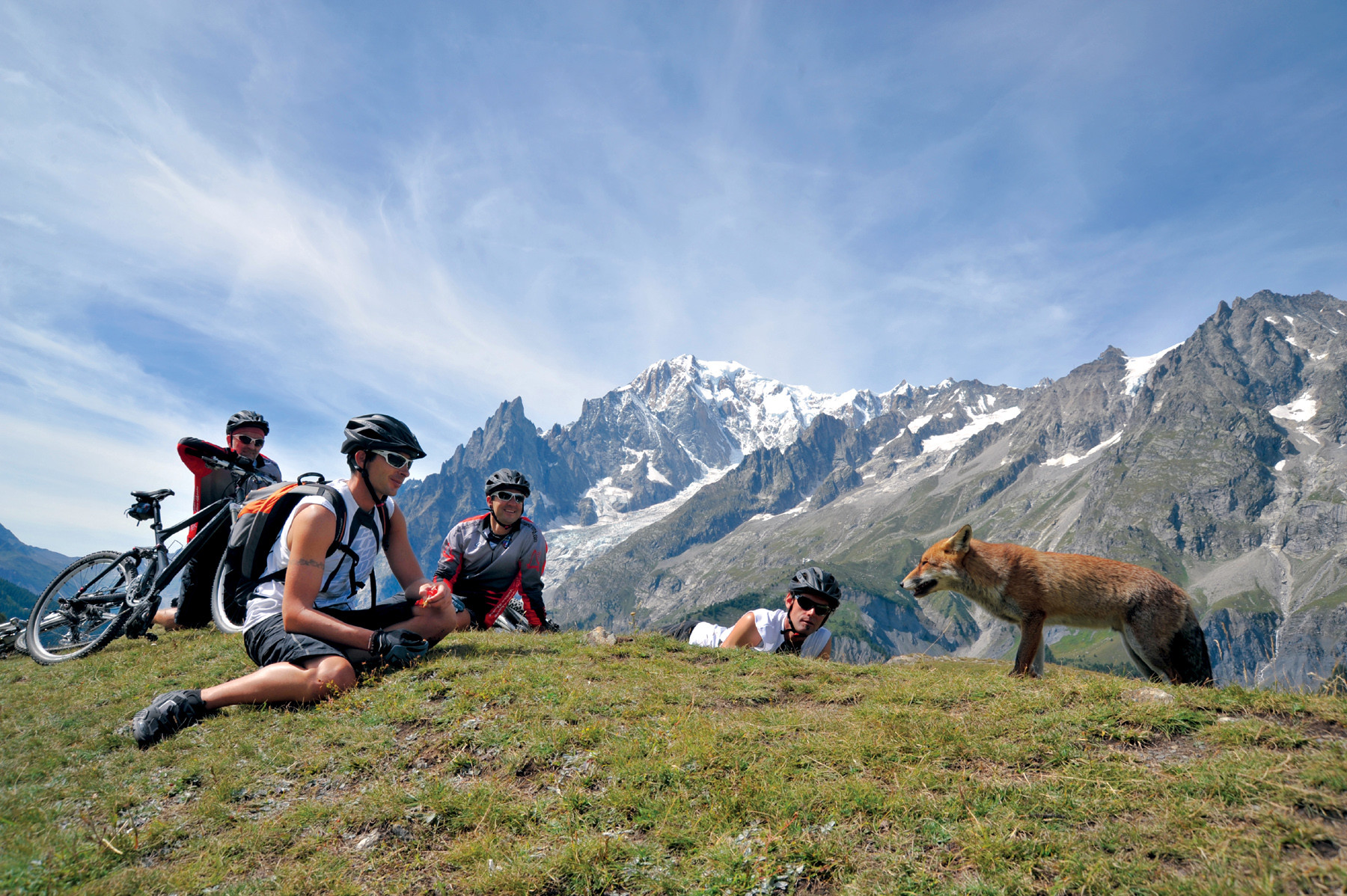 In het Italiaanse Nationaal Park Gran Paradiso kom je met de fiets allerlei wildlife tegen. Foto: Anita Oedit / Columbus Travel
