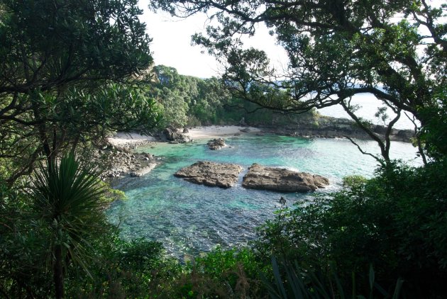 Secret Cove at Coromandel