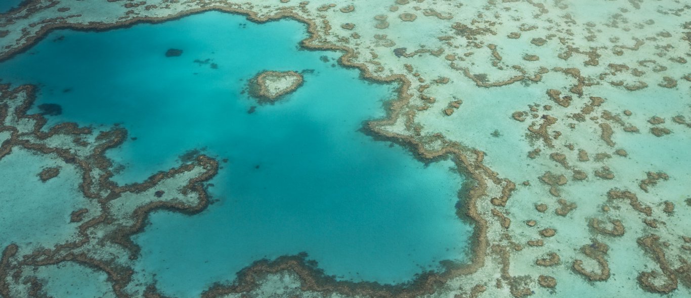 Ervaar het Great Barrier Reef buiten de gebaande paden image