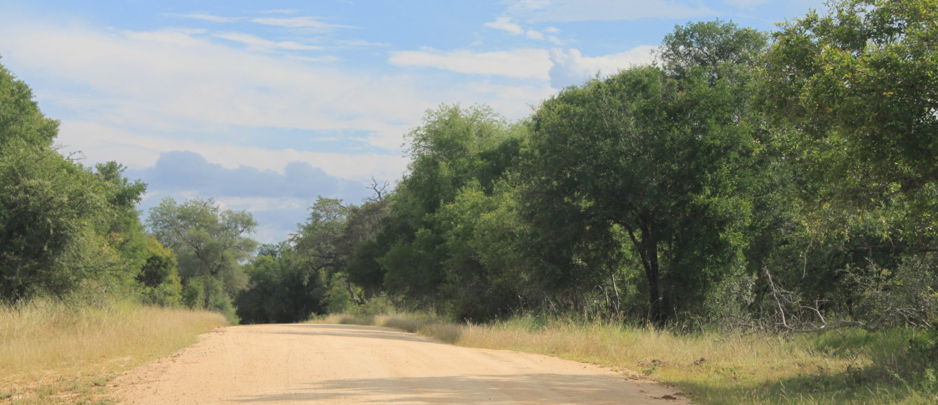 Krugerpark image