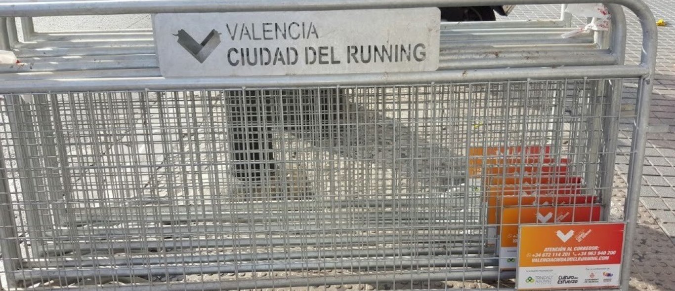 Valencia image