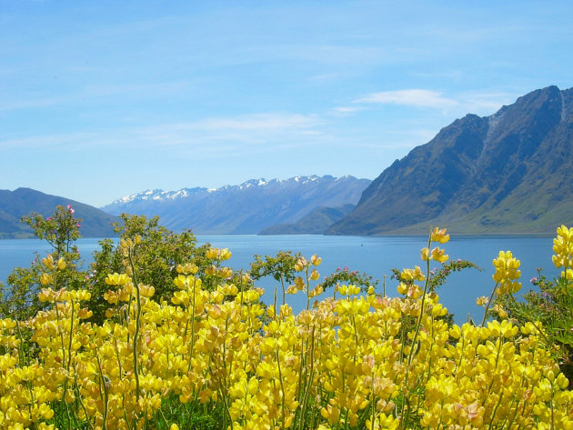 bijna in Queenstown