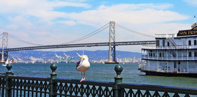 Bay Bridge