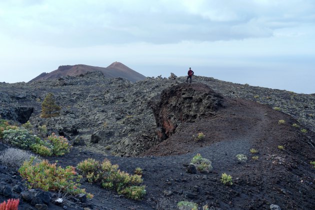 Vulcán Teneguia