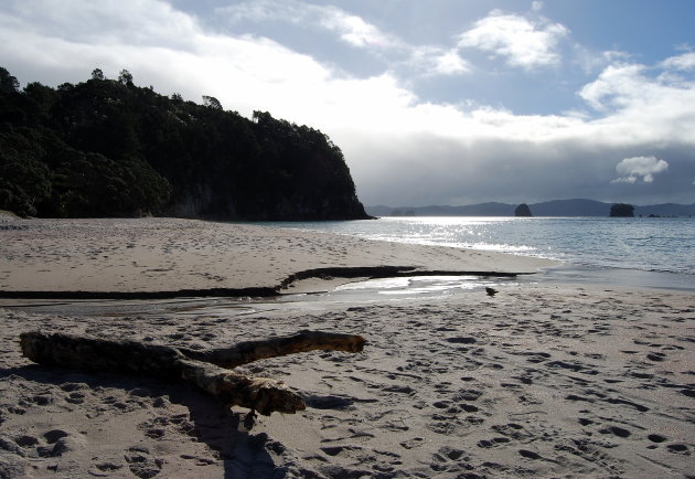 hahei beach