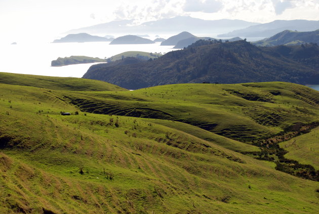 uitzicht in de coromandel