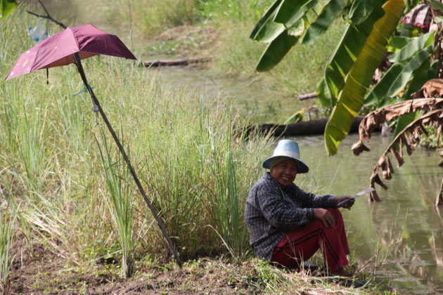 2008: Bangkok: rijstsnijder