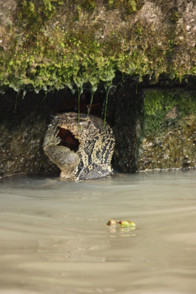 2008: Bangkok: watervaraan.