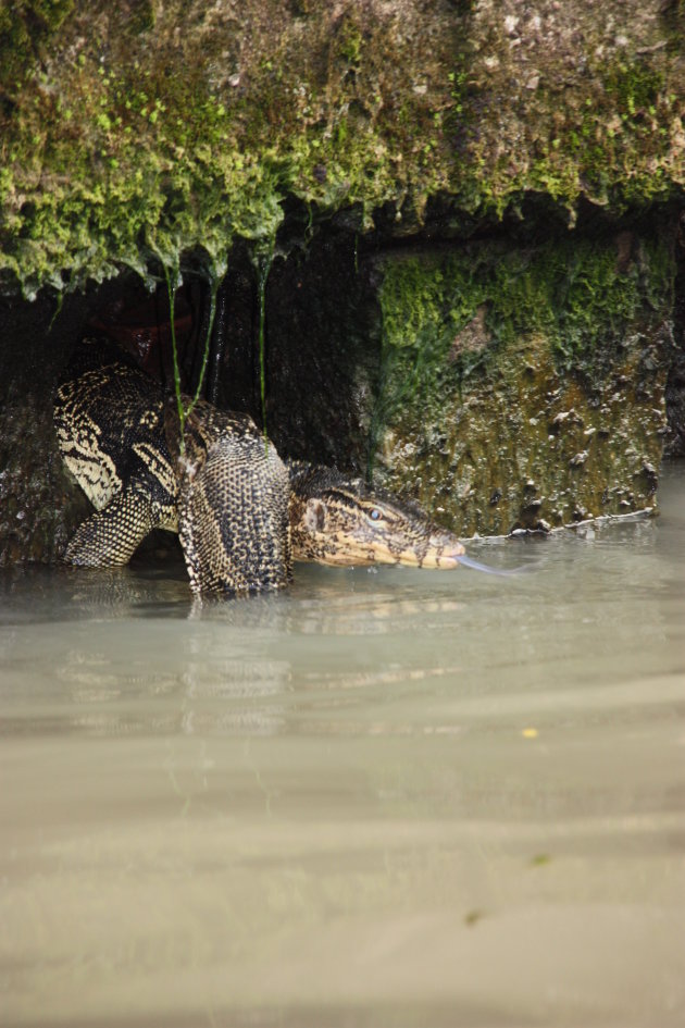 2008: Bangkok: watervaraan.