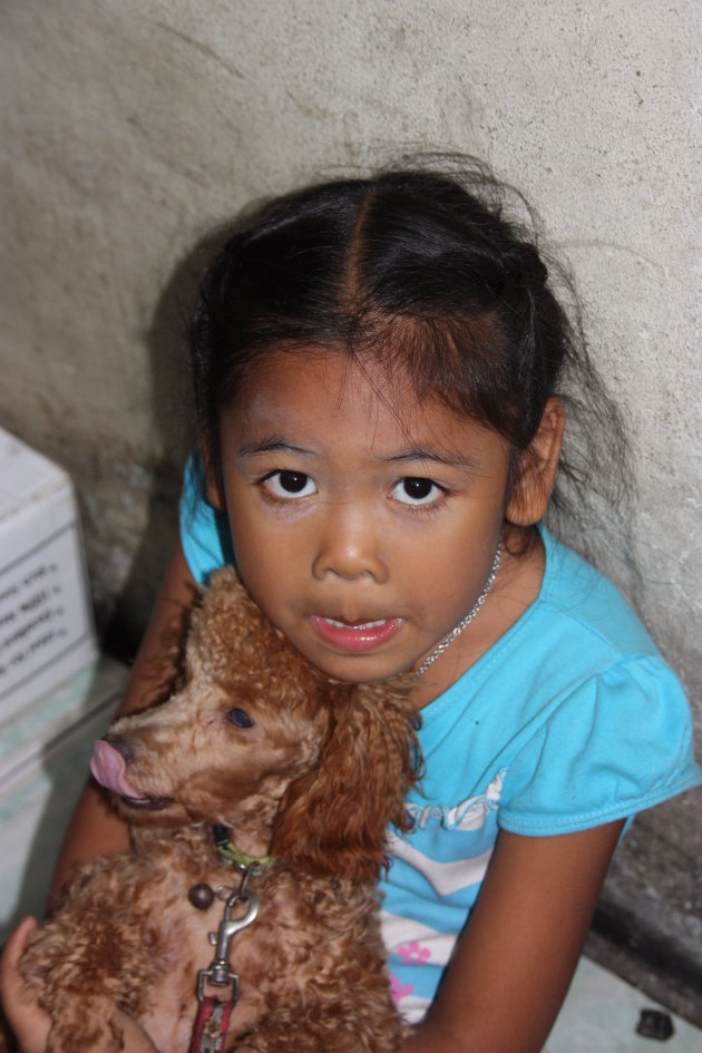 2008: Bangkok: knuffelen met poedeltje