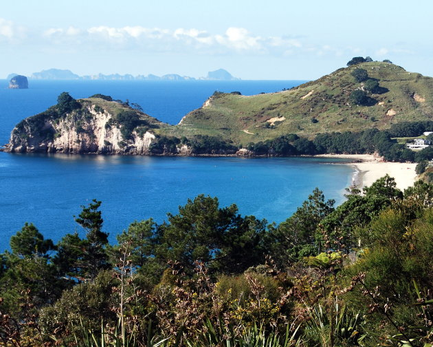 hahei beach