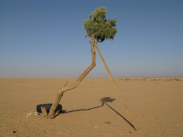 Leven in de Sahara
