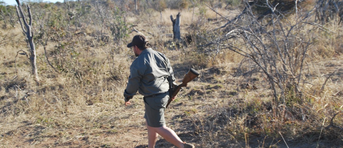 Madikwe Game Reserve image
