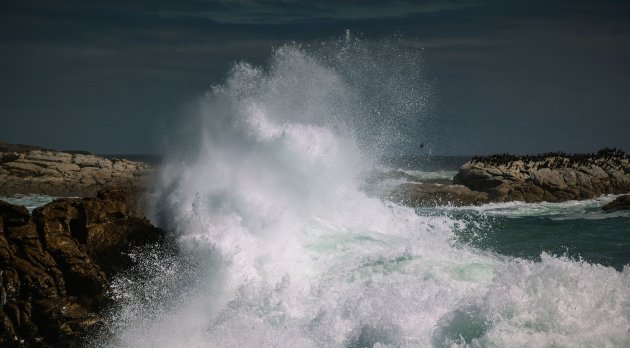 Geweld van het water