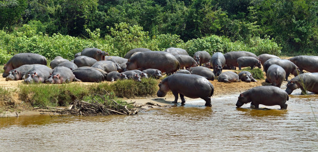 Is er een plekje vrij in Congo?